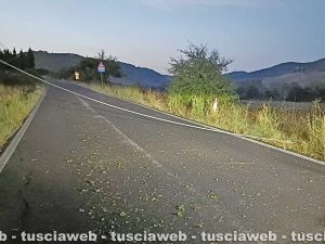 Strada provinciale 51 Trevinanese