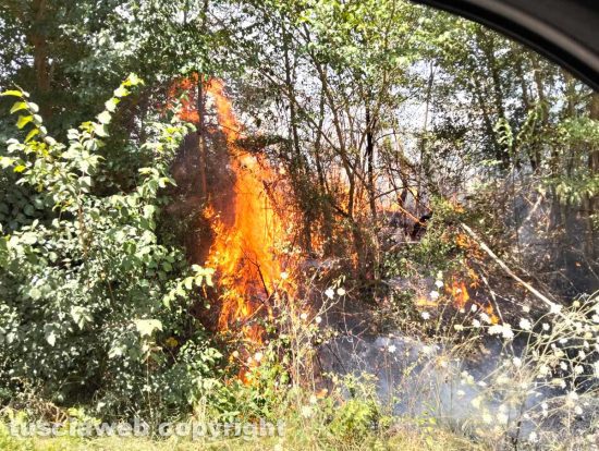 Incendio lungo la provinciale fra Penne e Orte