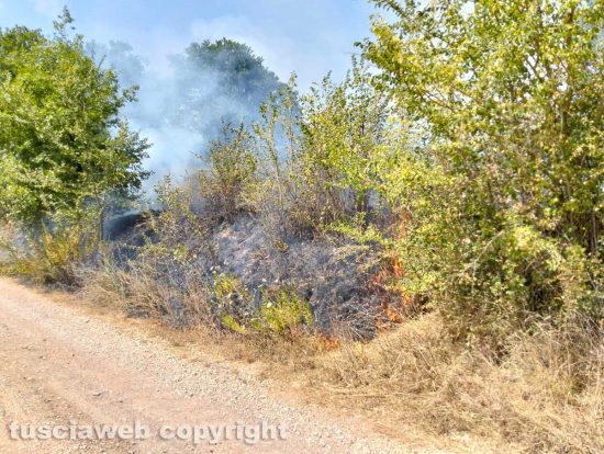 Incendio lungo la provinciale fra Penne e Orte