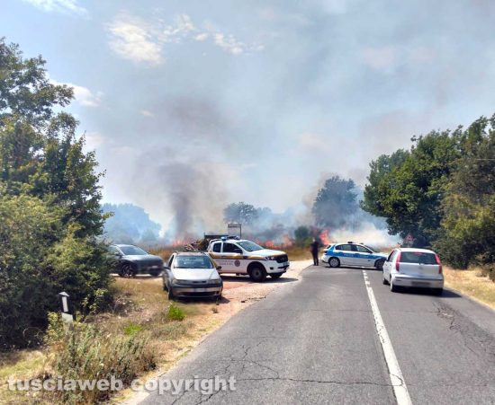 Incendio lungo la provinciale fra Penne e Orte
