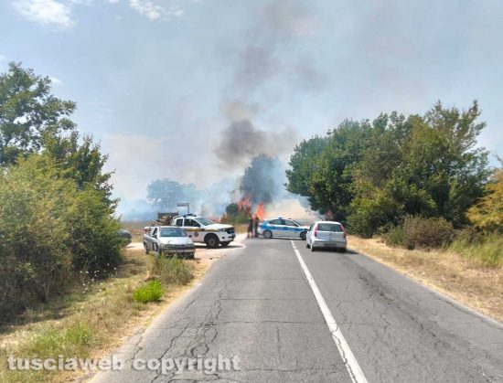 Incendio lungo la provinciale fra Penne e Orte