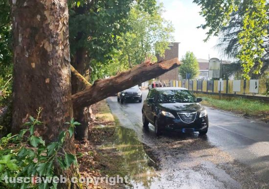 Maltempo, alberi abbattuti e strade chiuse nel comprensorio di Civita Castellana