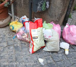 Viterbo - Immondizia in via dei Mille