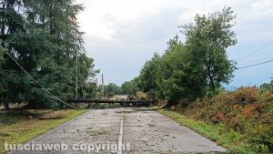 Civita Castellana - Albero caduto in strada