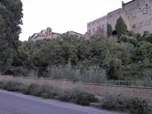 Viterbo -Sterpaglie e incuria al Colle della cattedrale