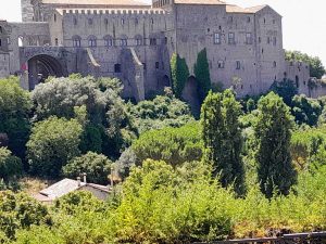Viterbo -Sterpaglie e incuria al Colle della cattedrale