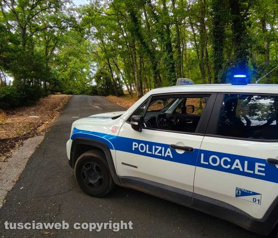 Vetralla - Grossa quercia crolla a terra