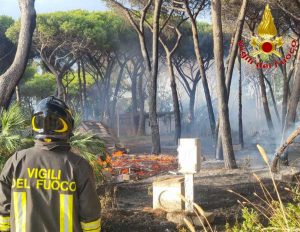 Civitavecchia - Incendio nella pineta della Frasca - Vigili del fuoco in azione
