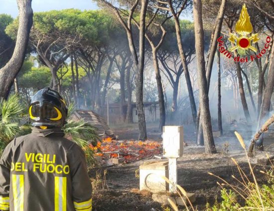 Civitavecchia - Incendio nella pineta della Frasca - Vigili del fuoco in azione