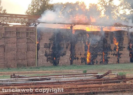 Gallese, in fiamme un capannone con 2mila quintali di fieno