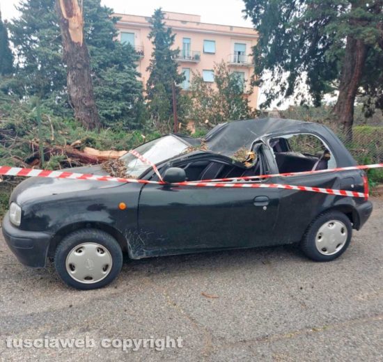 Auto schiacciata dal crollo di un albero in via Cava di Gorga