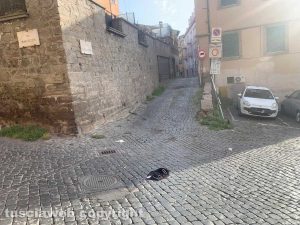 Viterbo - Litigano e si spogliano in strada all’una di notte
