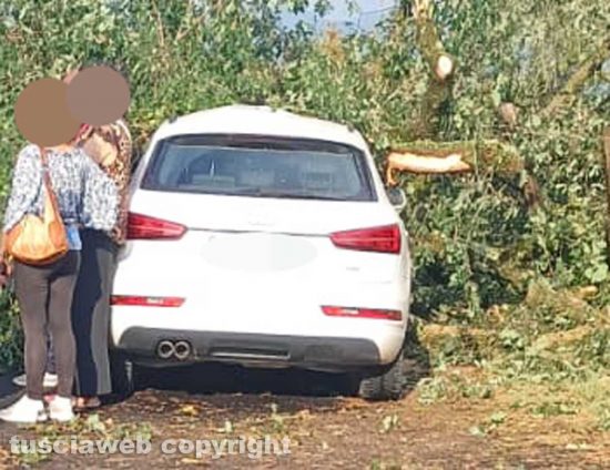Corchiano - Pianta si abbatte su una macchina in transito