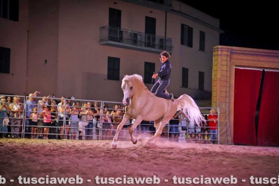 Blera - Cavalli in piazza - Sasà improta