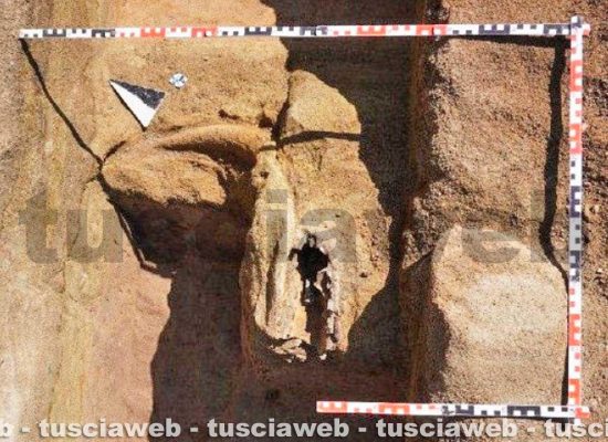 Necropoli di Casalaccio - I resti fossili di bovino preistorico rinvenuti dagli archeologi a nord della tomba 2