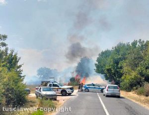 Incendio lungo la provinciale fra Penne e Orte