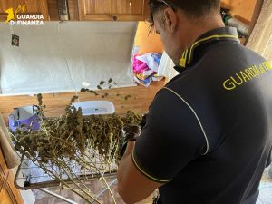 Latina - Guardia di finanza - Trovato con 175 grammi di cocaina e oltre 19 chili di marijuana