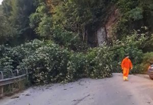 Frana sulla Sp 26 Vignanellese 