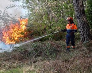 Tarquinia - Incendio in località San Giorgio