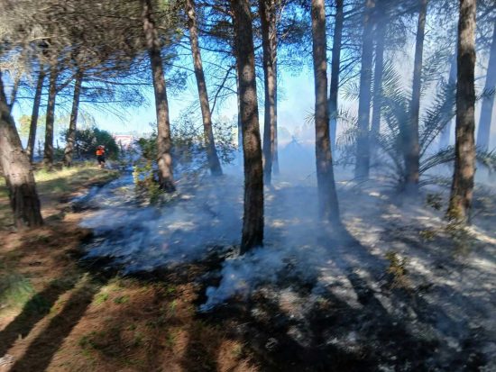 Tarquinia - Incendio in località San Giorgio