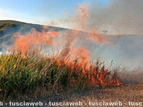 Tarquinia - Vasto incendio in località Santa Maria