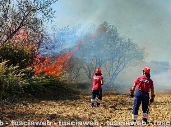 Tarquinia - Vasto incendio in località Santa Maria