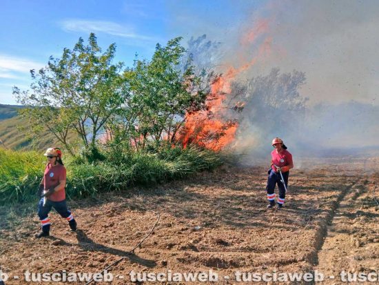 Tarquinia - Vasto incendio in località Santa Maria
