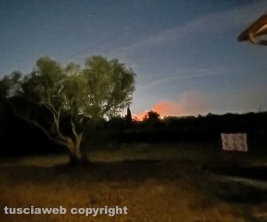 Viterbo - Principio di incendio vicino alla Superstrada
