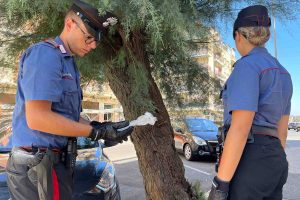 Ostia - Attività antidroga dei carabinieri sul litorale