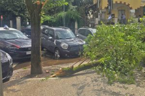 Roma - Ramo caduto fuori dal liceo