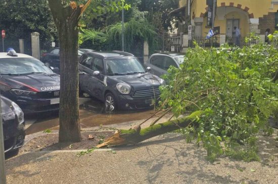 Roma - Ramo caduto fuori dal liceo