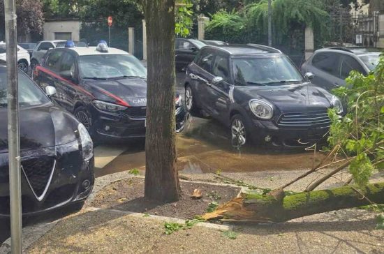 Roma - Ramo caduto fuori dal liceo
