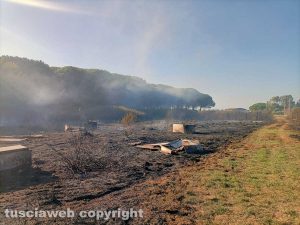 Tarquinia - Incendio alle Saline
