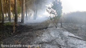Tarquinia - Incendio alle Saline