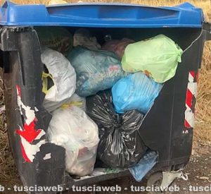 Viterbo - Rifiuti e incuria in strada Pian di Tortora