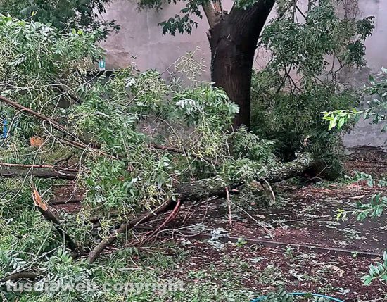 Viterbo - Caduto un grosso ramo nel Cag Lo spiffero