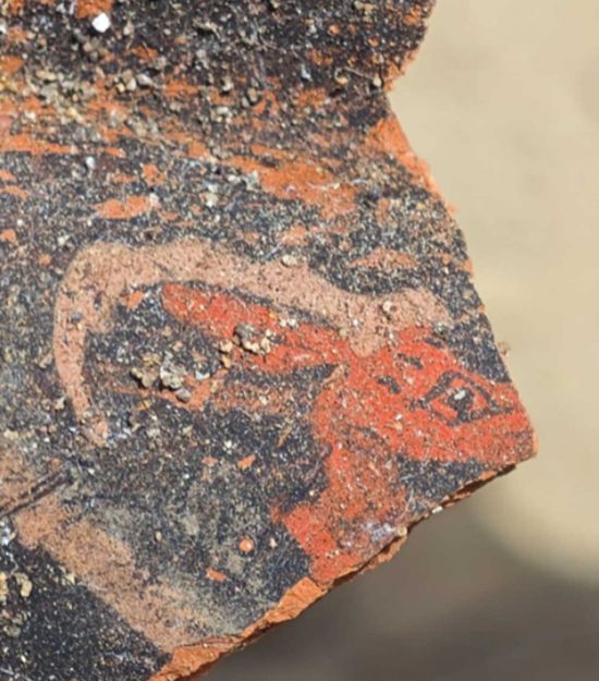 Scoperta la Tomba della Camera di pietra a Vulci - Foto di Ritorno a Vulci, 2026