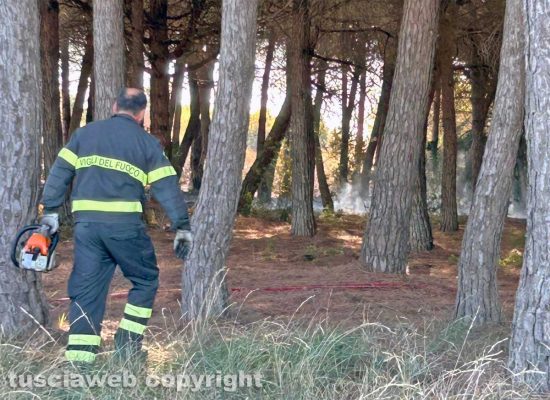Tarquinia - Incendio in località San Giorgio