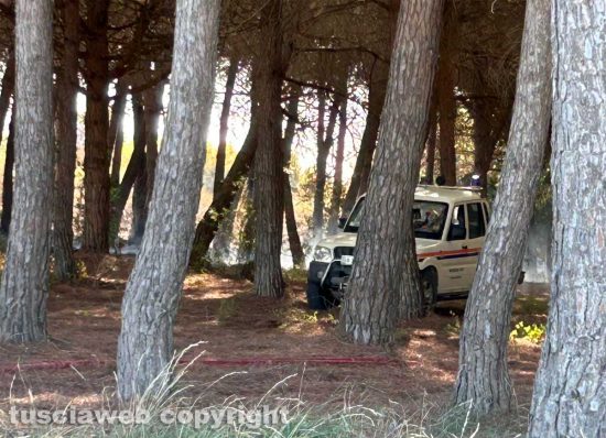 Tarquinia - Incendio in località San Giorgio