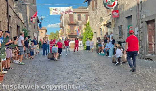 Viterbo - Palio delle Piccole botti