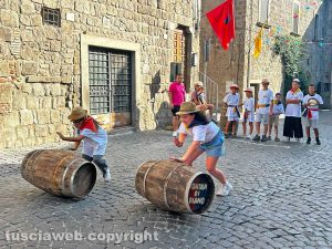 Viterbo - Palio delle Piccole botti