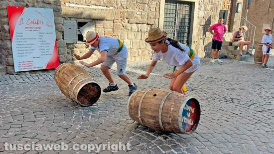 Viterbo - Palio delle Piccole botti