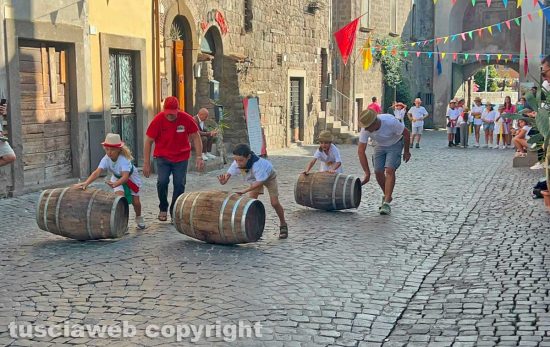 Viterbo - Palio delle Piccole botti