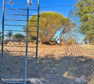 L'ingresso "alternativo" al Bullicame