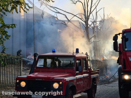 Montefiascone - Incendio in via Paternocchio