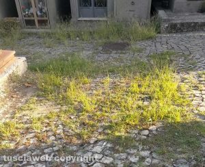Viterbo - Degrado al cimitero di San Martino al Cimino
