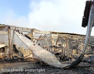 Viterbo – L'azienda agricola di Danilo Camilli dopo l'incendio
