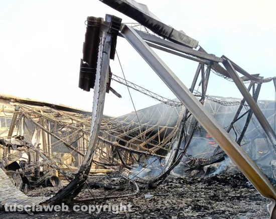 Viterbo – L'azienda agricola di Danilo Camilli dopo l'incendio