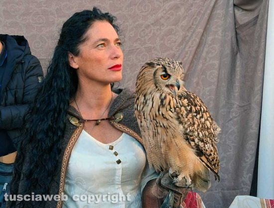 Viterbo - Falconeria a San Martino al Cimino