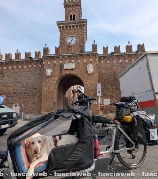 Il labrador Erin in viaggio con il suo biker Nicola Inversi - Tappa a Castel Sant'Elia